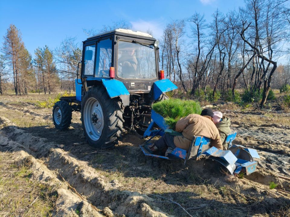 Еще больше фото акции "Сохраним лес" Еще больше фото акции "Сохраним лес"