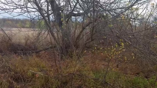 В Луганске нашли мужчину, который пропал 10 дней назад