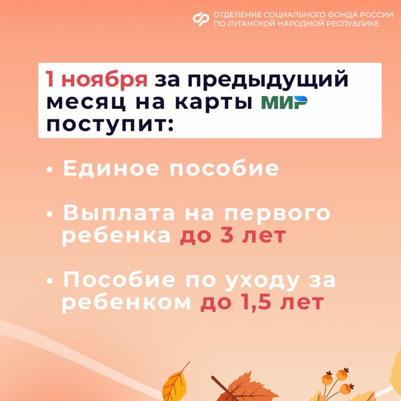1, 5 и 7 ноября — дни зачисления выплат семьям с детьми в ЛНР на карты и счета 1, 5 и 7 ноября — дни зачисления выплат семьям с детьми в ЛНР на карты и счета