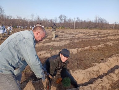 Работа Валуйского отдела жизнеобеспечения: от восстановления леса до помощи жителям