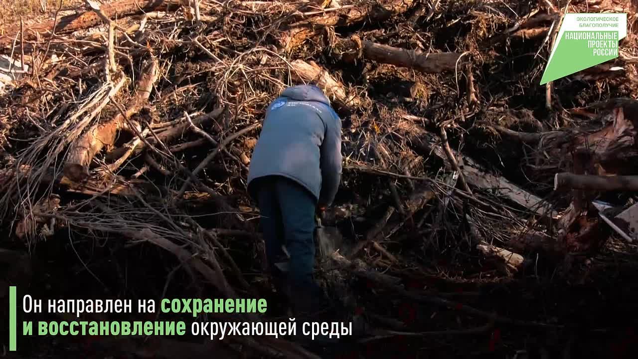 Леонид Пасечник: Национальный проект «Экологическое благополучие» реализуется в республике с 2025 года