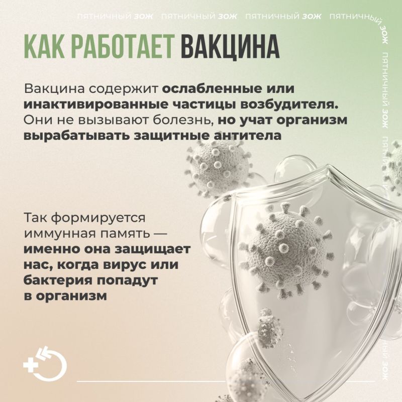 Пятничный ЗОЖ: вакцинация — забота о себе и других Пятничный ЗОЖ: вакцинация — забота о себе и других