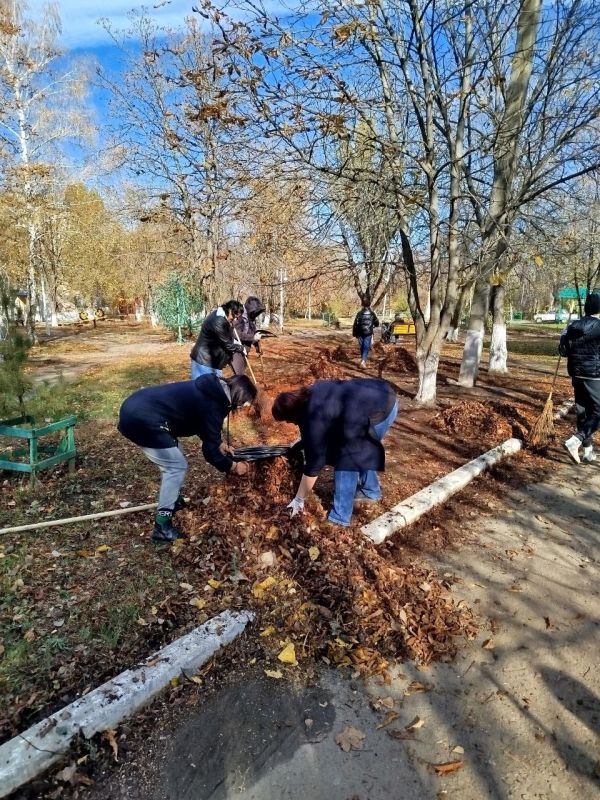 В Молодогвардейске приступили к уборке опавшей листвы В Молодогвардейске приступили к уборке опавшей листвы