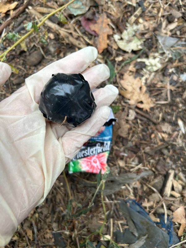 11111���������� ������������ � ������������ ���������� ��������� 38-������ ������� � ������-������ ����� �������� �������������� ���������