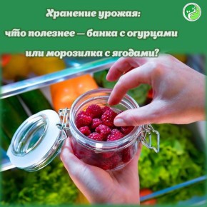 Осенью многие достают свои запасы: соленья, варенья и маринованные овощи