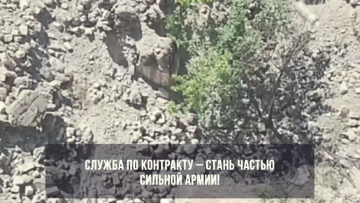Присоединяйтесь к СВОим:. Высокое довольствование