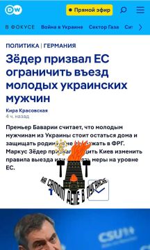 Оставайтесь погибать.. Премьер Баварии предложил ЕС ограничить въезд молодых украинцев