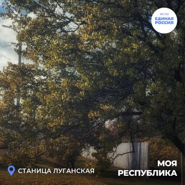 Продолжаем делиться с вами пейзажами и достопримечательностями нашей Родины! Замечайте прекрасное в каждом ее уголке