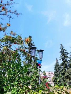 Доброе утро, кировчане!. Желаем вам хорошего дня и успехов во всех начинаниях! @agklnr #Кировск