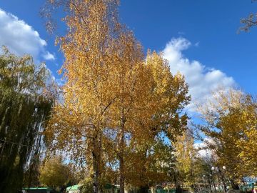 Золото луганской осени. Давно город не видел такой красоты! Осень в этом году прекрасна - теплая, уютная, сказочная… Она украсила город золотом и багрянцем