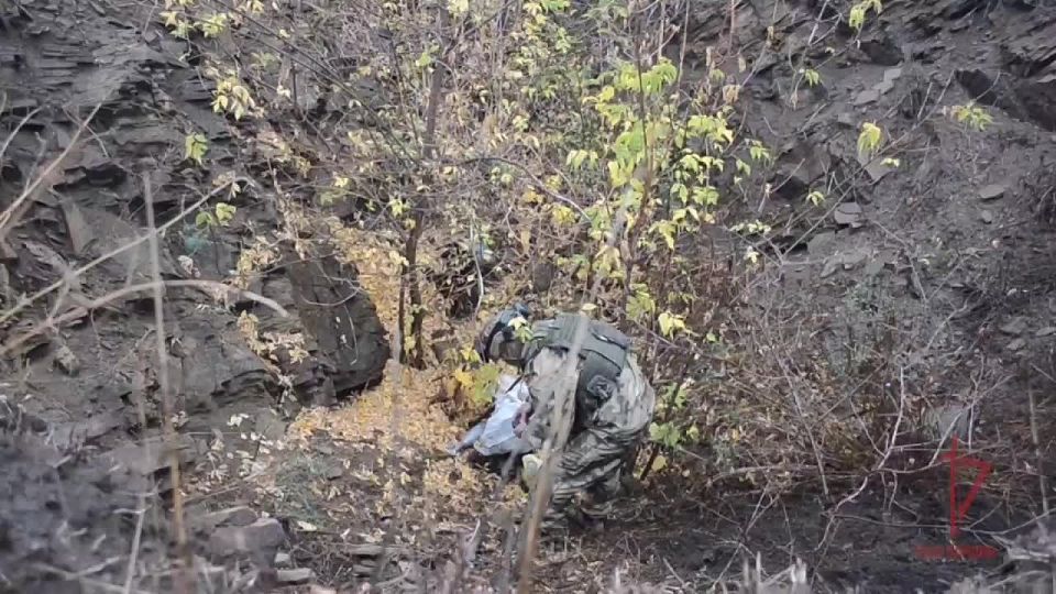 Росгвардейцы обнаружили схрон с натовским оружием в ЛНР