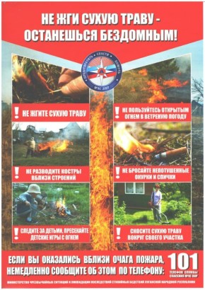 Не жги сухую траву