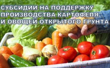 Подборка новостей агропромышленного комплекса Луганской Народной Республики за прошедшую неделю