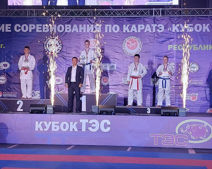 Молодогвардейские каратисты блеснули на "Кубке ТЭС" Молодогвардейские каратисты блеснули на "Кубке ТЭС"