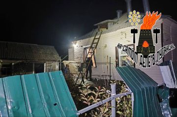 Домашние животные пострадали при налете БПЛА на Луганск