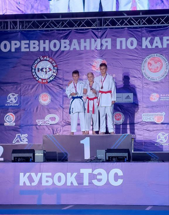 Молодогвардейские каратисты блеснули на "Кубке ТЭС" Молодогвардейские каратисты блеснули на "Кубке ТЭС"