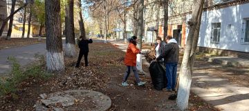 В Молодогвардейске активисты Партии «Единая Россия» приступили к уборке опавшей листвы