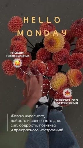 Каждый новый день — это ещё одна страница жизни, и только от вас зависит, какой в итоге получится книга