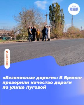 «Безопасные дороги»: В Брянке проверили качество дороги по улице Луговой
