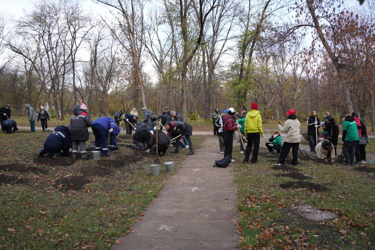 ЛДПР присоединилась к масштабной экологической акции ЛДПР присоединилась к масштабной экологической акции