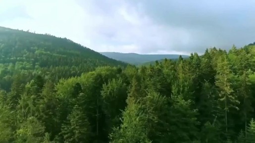 Вставай Русская Рать. Начиная с летоисчисления нашей Руси все наши предки дрались, отбивались и преумножали все то что мы имеем