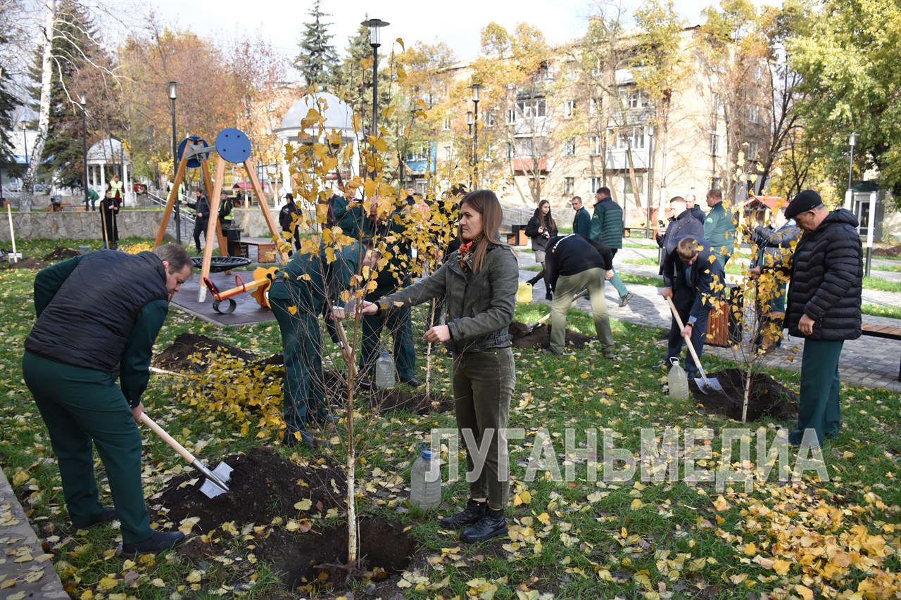 В память о героях Отчизны: антрацитовцы и ставропольцы высадили «Сад памяти» В память о героях Отчизны: антрацитовцы и ставропольцы высадили «Сад памяти»