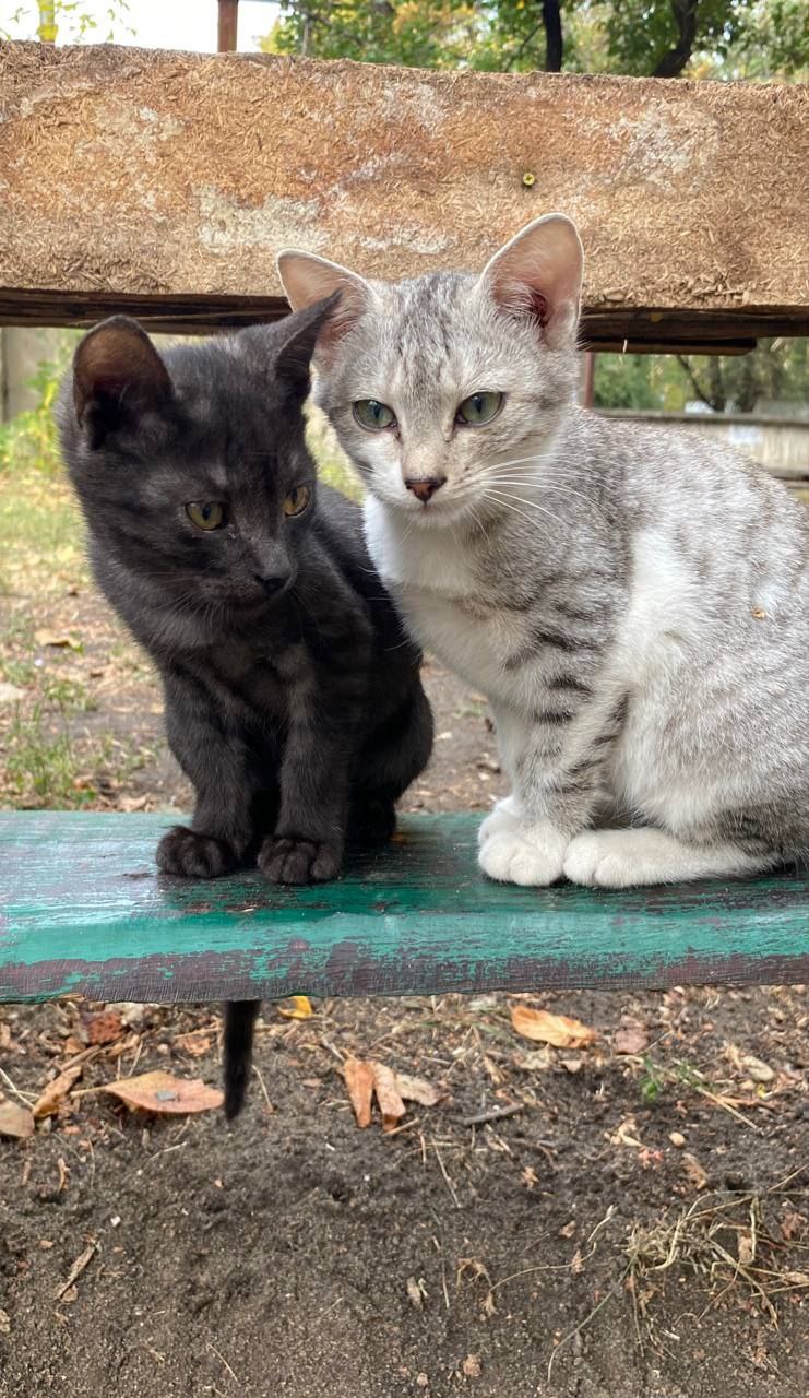 29 октября на территории Луганской Народной Республики будет облачно с прояснениями