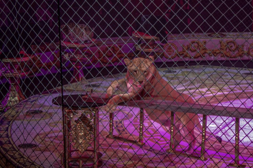 � ��� � ��� ���������� ����� ������� �������� �����������