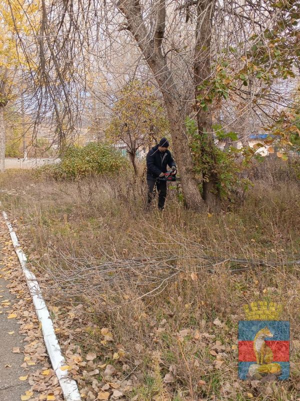 Чистота и благоустройство городских пространств и территорий является сферой ответственности коммунальных служб города Чистота и благоустройство городских пространств и территорий является сферой ответственности коммунальных служб города