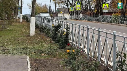 Благоустройство пгт Марковка: обновление дорожной инфраструктуры