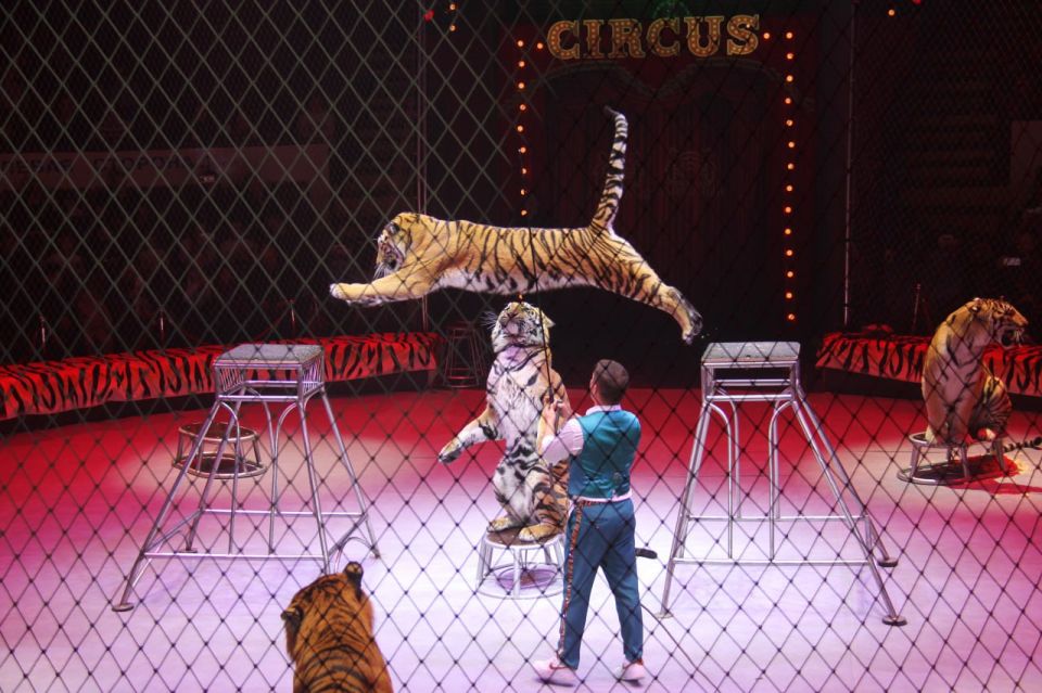 � ��� � ��� ���������� ����� ������� �������� �����������