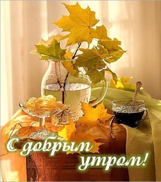 Начинаем новый день с улыбки и веры в лучшее! Пусть всё складывается как нельзя лучше!