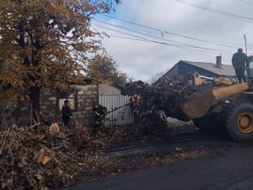 Сегодня специализированной техникой была завершена уборка удаленного аварийного дерева в пгт Кленовый по улице Полевая