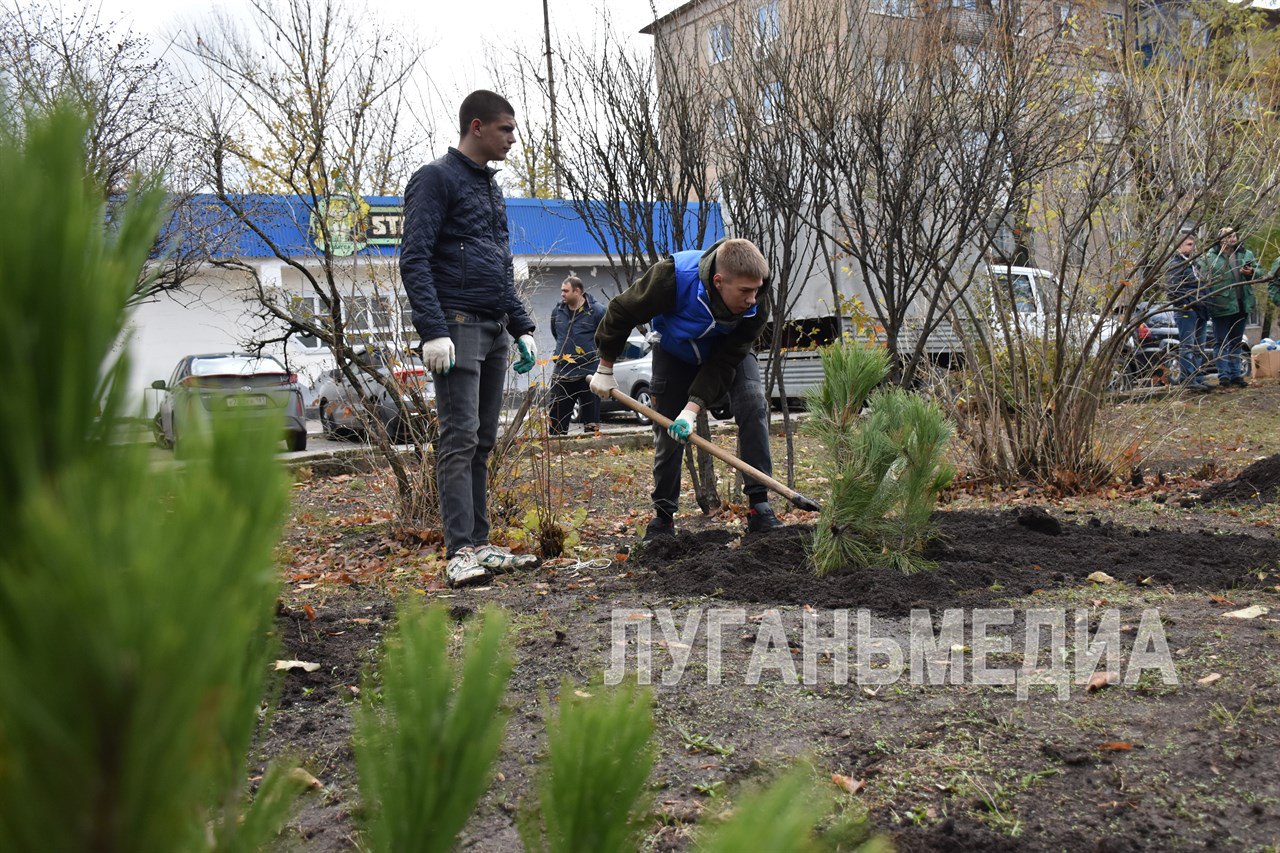 В память о героях Отчизны: антрацитовцы и ставропольцы высадили «Сад памяти» В память о героях Отчизны: антрацитовцы и ставропольцы высадили «Сад памяти»