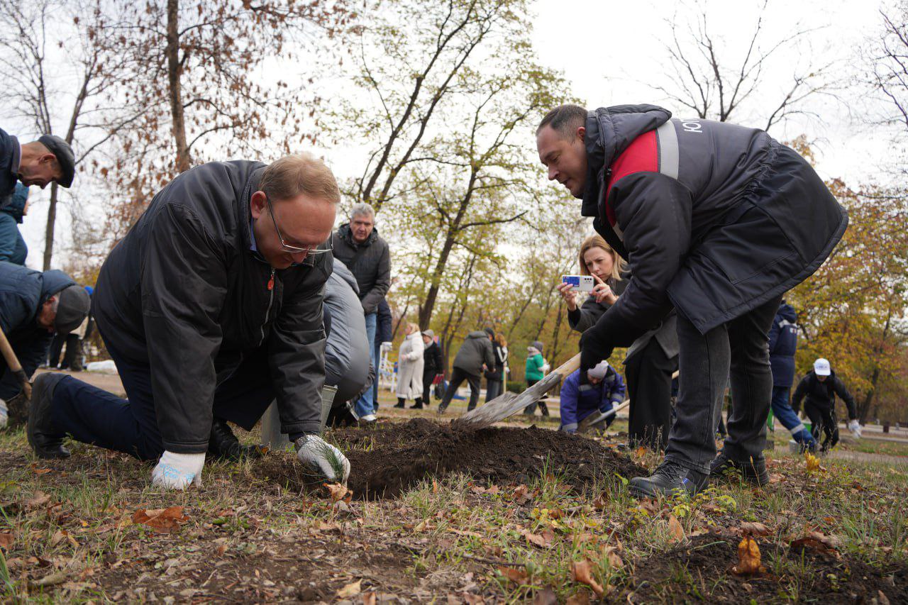 ЛДПР присоединилась к масштабной экологической акции ЛДПР присоединилась к масштабной экологической акции