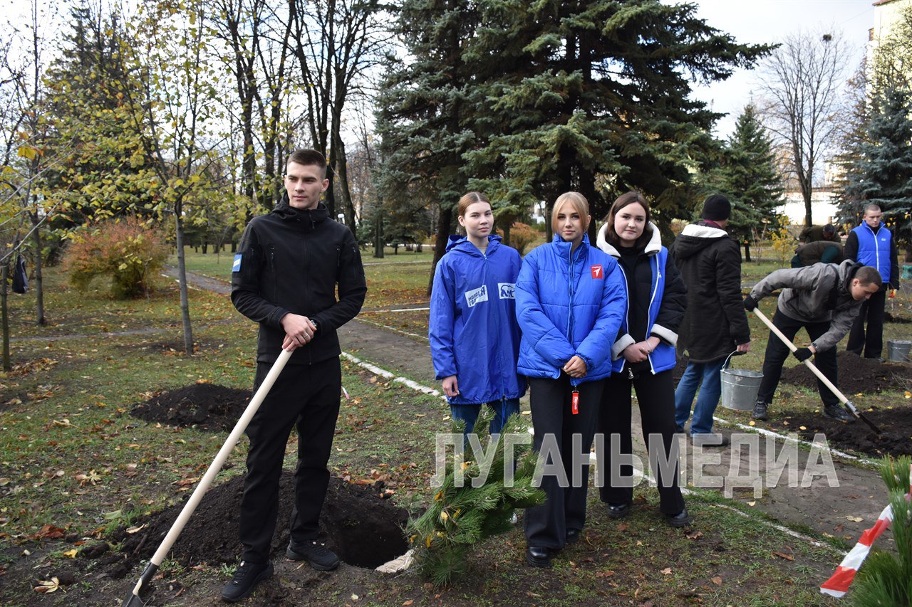 В память о героях Отчизны: антрацитовцы и ставропольцы высадили «Сад памяти» В память о героях Отчизны: антрацитовцы и ставропольцы высадили «Сад памяти»