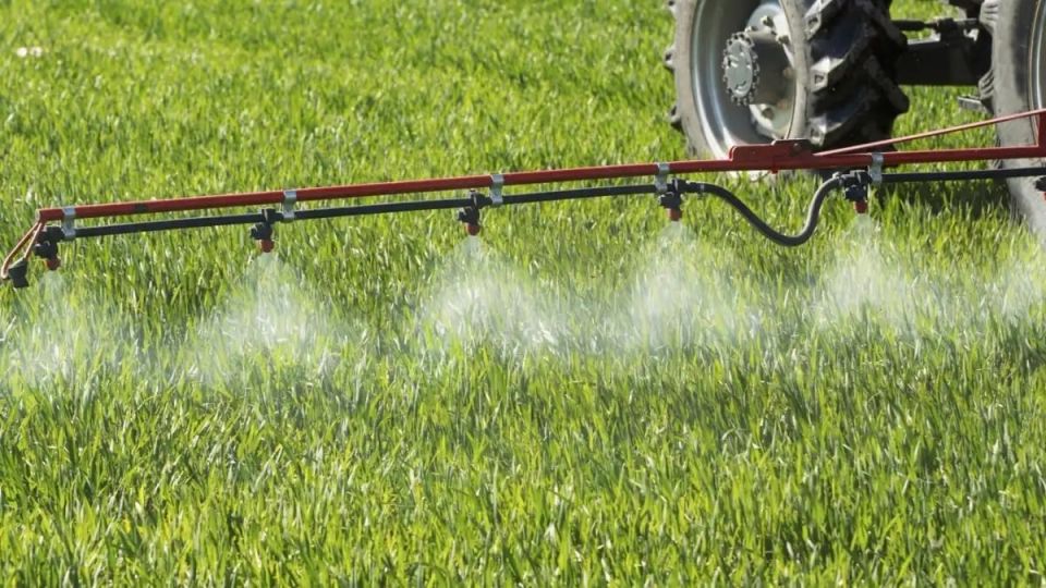 ������� �������������� ���������� � ������������� � �� ����� ����������������