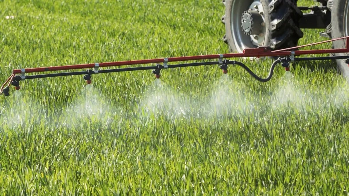 Процесс госрегистрации пестицидов и агрохимикатов в РФ будет усовершенствован Процесс госрегистрации пестицидов и агрохимикатов в РФ будет усовершенствован