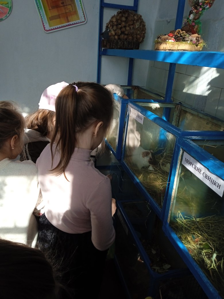 Участники творческого объединения "Удивительный мир природы" вместе с родителями отправились на экскурсию в живой уголок Ровеньковского детского экологического центра, где смогли познакомиться с его удивительными обитателями Участники творческого объединения "Удивительный мир природы" вместе с родителями отправились на экскурсию в живой уголок Ровеньковского детского экологического центра, где смогли познакомиться с его удивительными обитателями