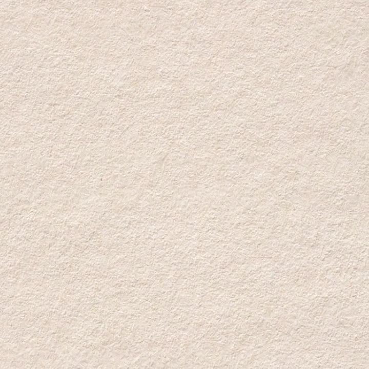 Успейте переоформить номера и документы на авто до 1 января 2026 года!