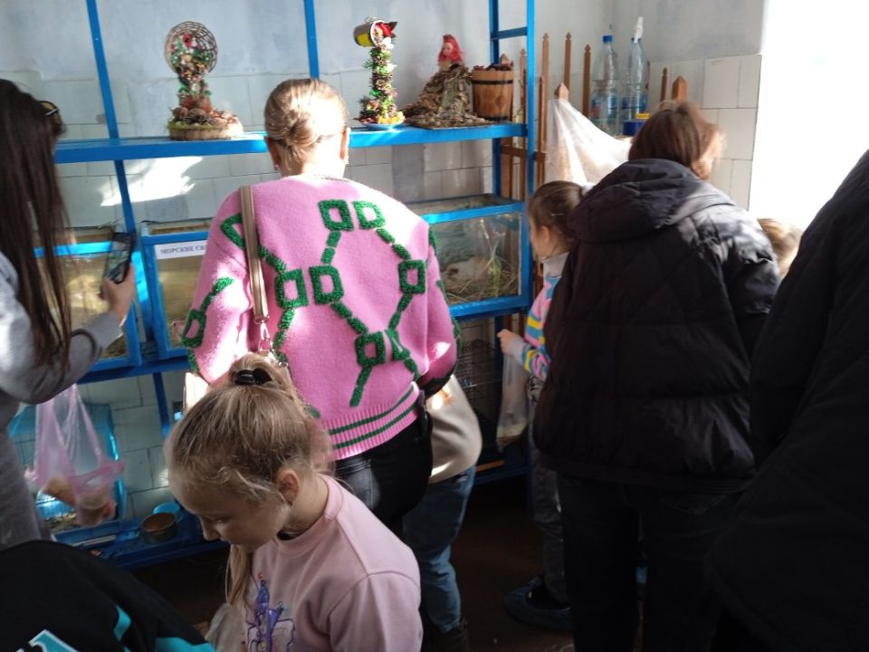 Участники творческого объединения "Удивительный мир природы" вместе с родителями отправились на экскурсию в живой уголок Ровеньковского детского экологического центра, где смогли познакомиться с его удивительными обитателями Участники творческого объединения "Удивительный мир природы" вместе с родителями отправились на экскурсию в живой уголок Ровеньковского детского экологического центра, где смогли познакомиться с его удивительными обитателями