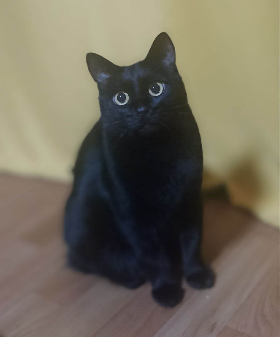 30 октября на территории Луганской Народной Республики прогнозируется переменная облачность