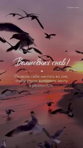 Доброй и мирной ночи, жители Новоайдарского округа!