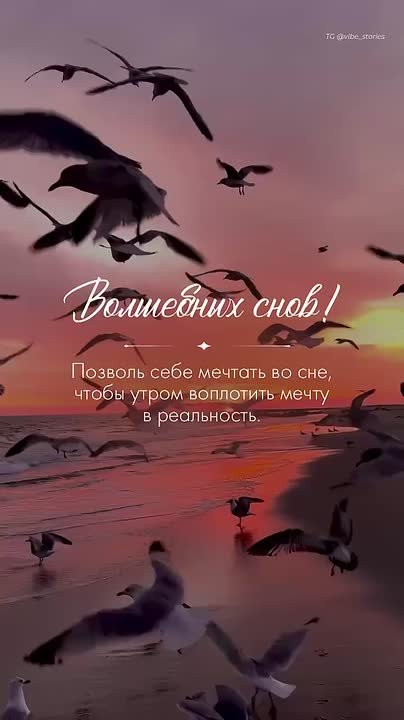 Доброй и мирной ночи, жители Новоайдарского округа!