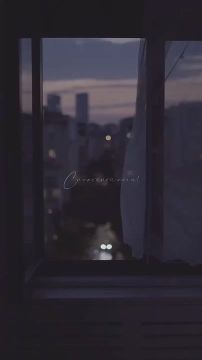 Ночь темна. Луна. Неяркий свет в углу окна вещает — скоро будет что-то… Ведь не напрасно эти ноты тревожно лезут из-под шторы, насторожённые, как воры