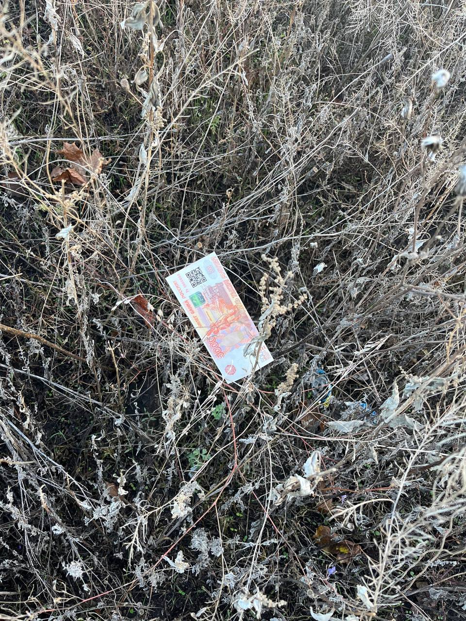 Внимание, жители Старобельского округа!