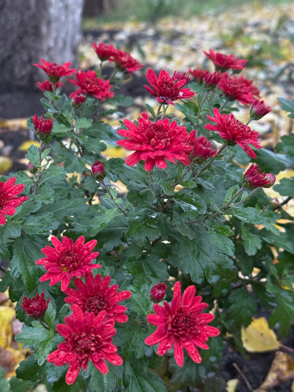 С добрым утром, жители Марковского муниципального округа!