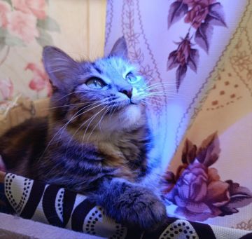 31 октября на территории Луганской Народной Республики будет облачно с прояснениями