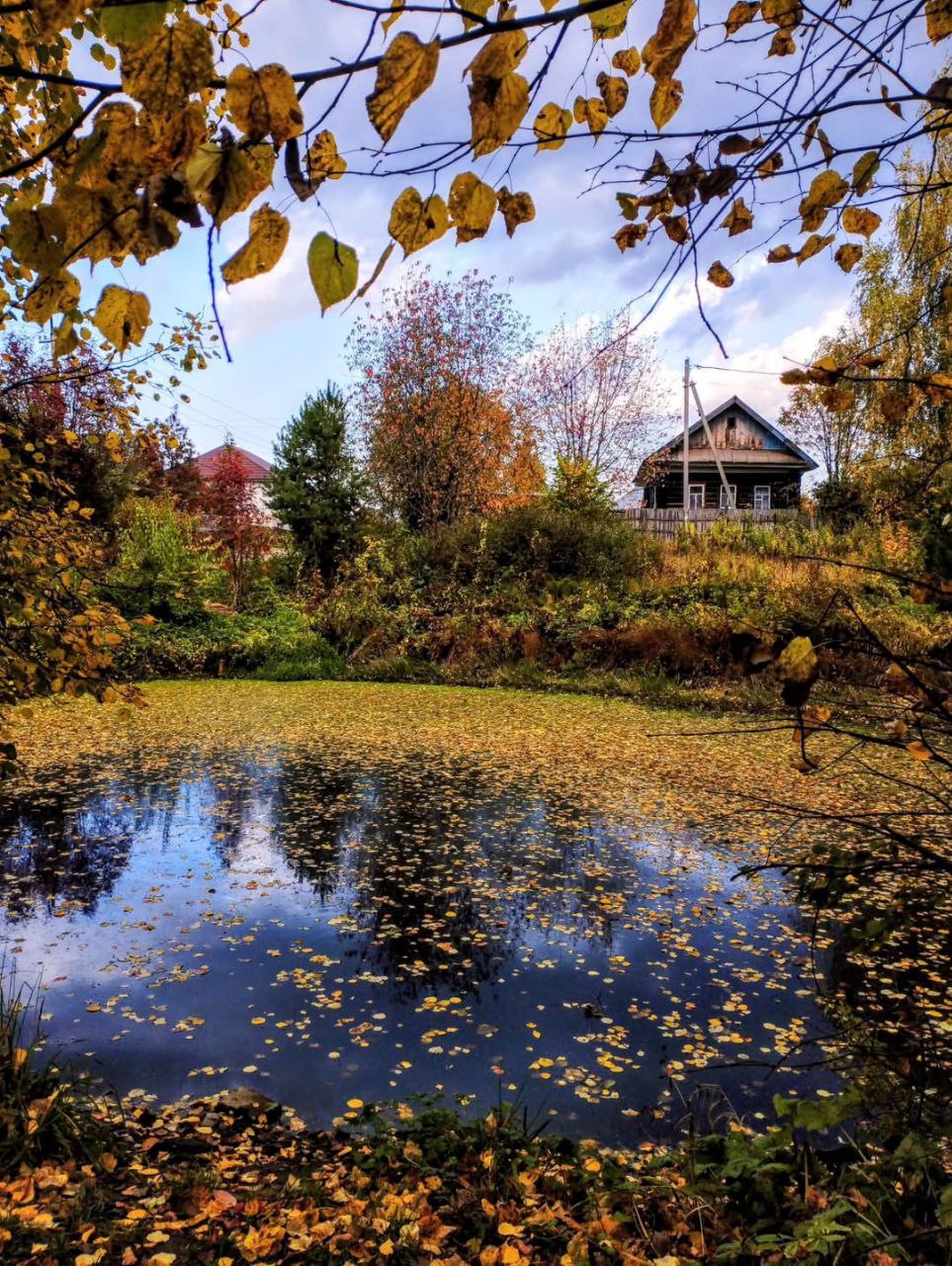 Доброе утро, станичане!. Четверг, 30 октября Погода сегодня: Ночь: +8...+9°C, кратковременные дожди Утро: +8...+11°C, облачно День: +10...+12°C, облачно Вечер: +8...+9°C, пасмурно Осень продолжает баловать нас дождями и...