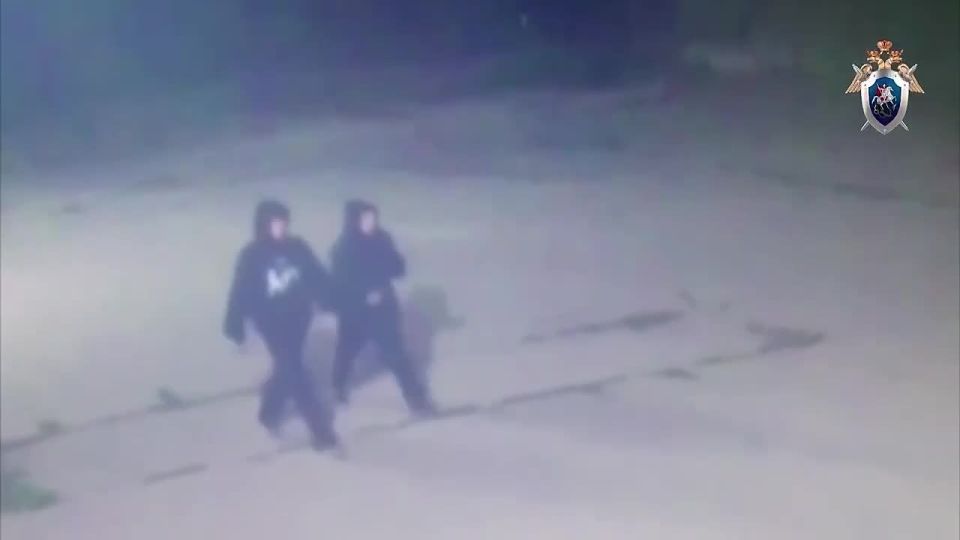 В Самаре двум несовершеннолетним предъявлено обвинение в совершении теракта на железной дороге